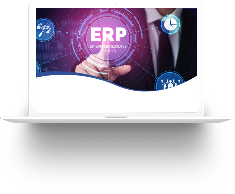 Custom ERP Software